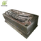 Car Bumber Grille Mould