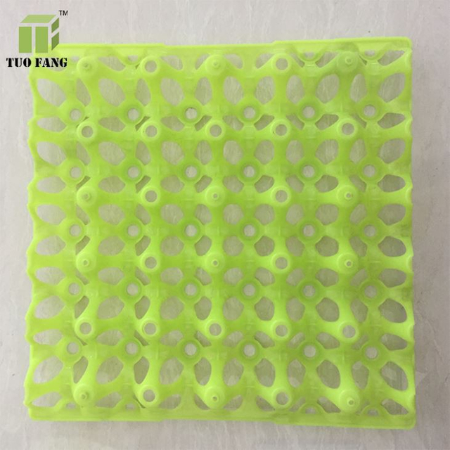 Plastic Egg Tray Mould